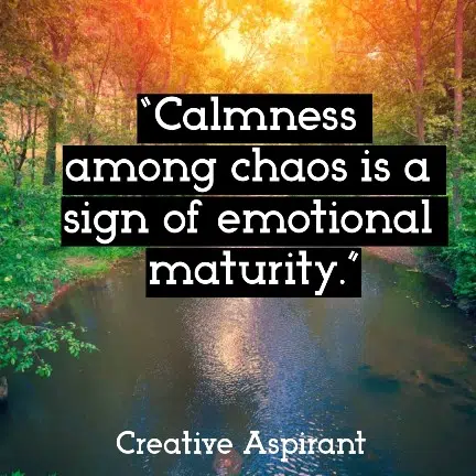 “Calmness among chaos is a sign of emotional maturity.”