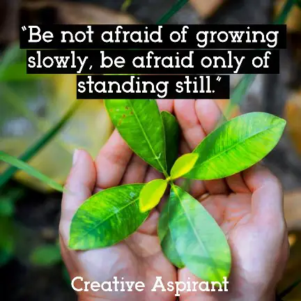 “Be not afraid of growing slowly, be afraid only of standing still.” 