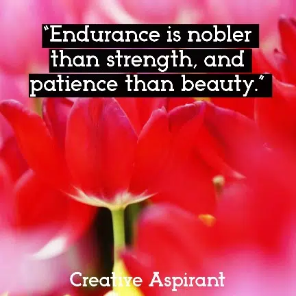“Endurance is nobler than strength, and patience than beauty.