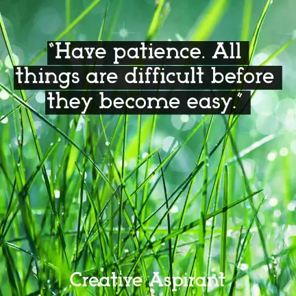 “Have patience. All things are difficult before they become easy.”