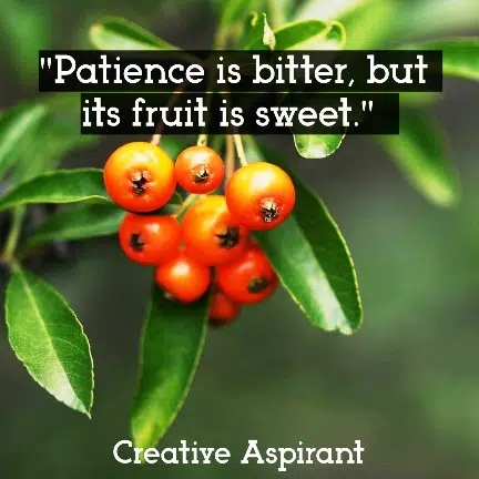 Patience is bitter, but its fruit is sweet.
