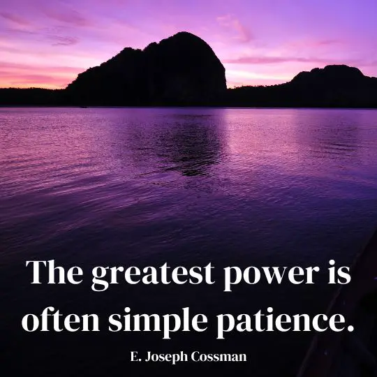 Quotes on Finding Strength in Patience