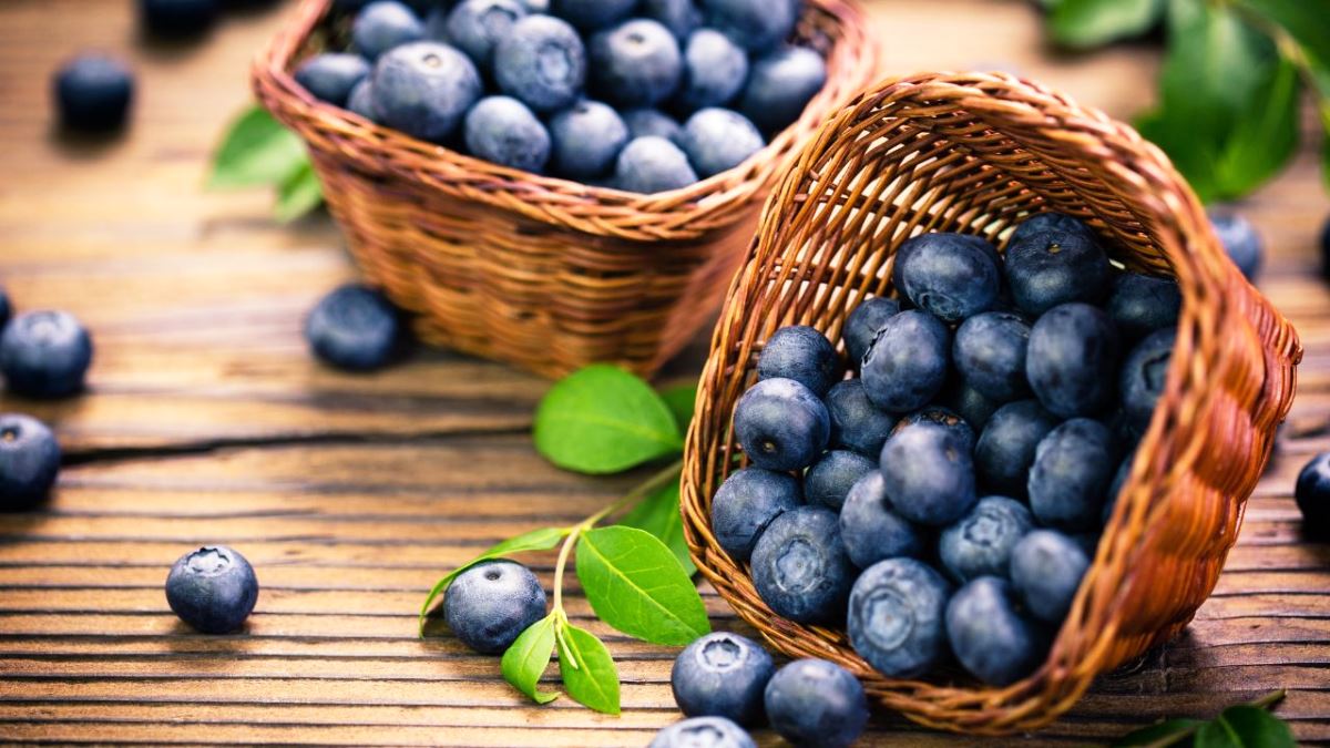 150+ Best Blue Berry Quotes And Instagram Captions