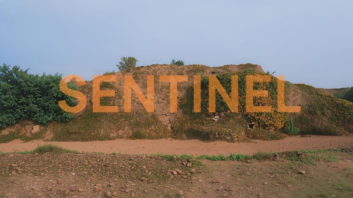 Sentinel Font Generator