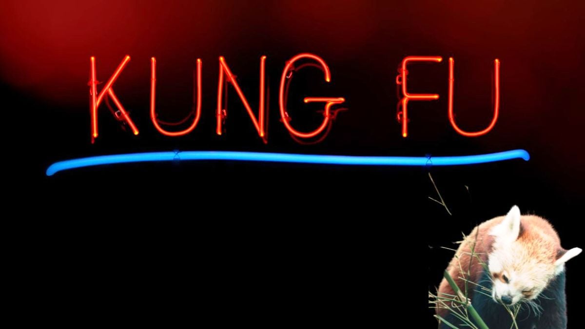 kung fu fonts